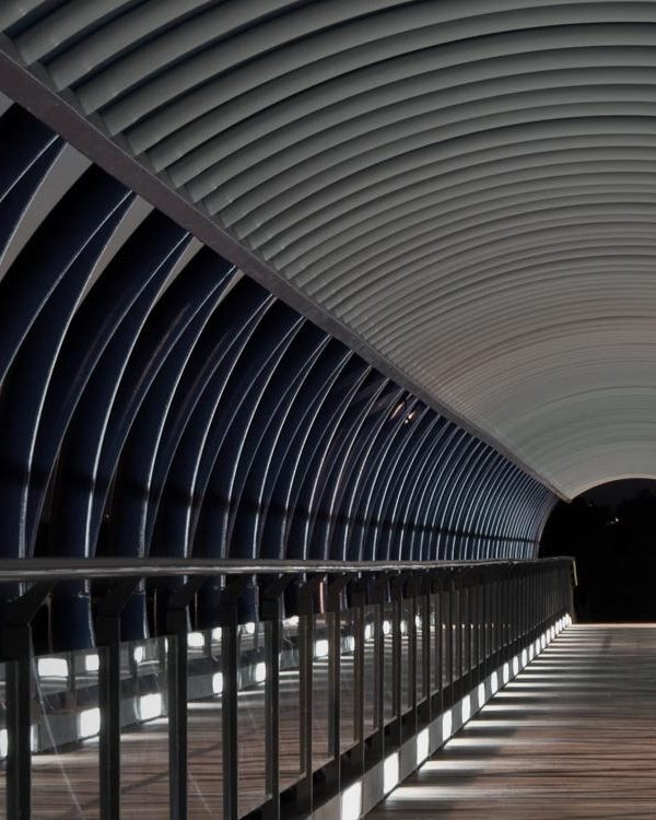 OFW Drilling Reglas de Organizacion